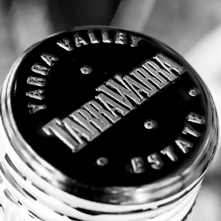 Black and White Lid