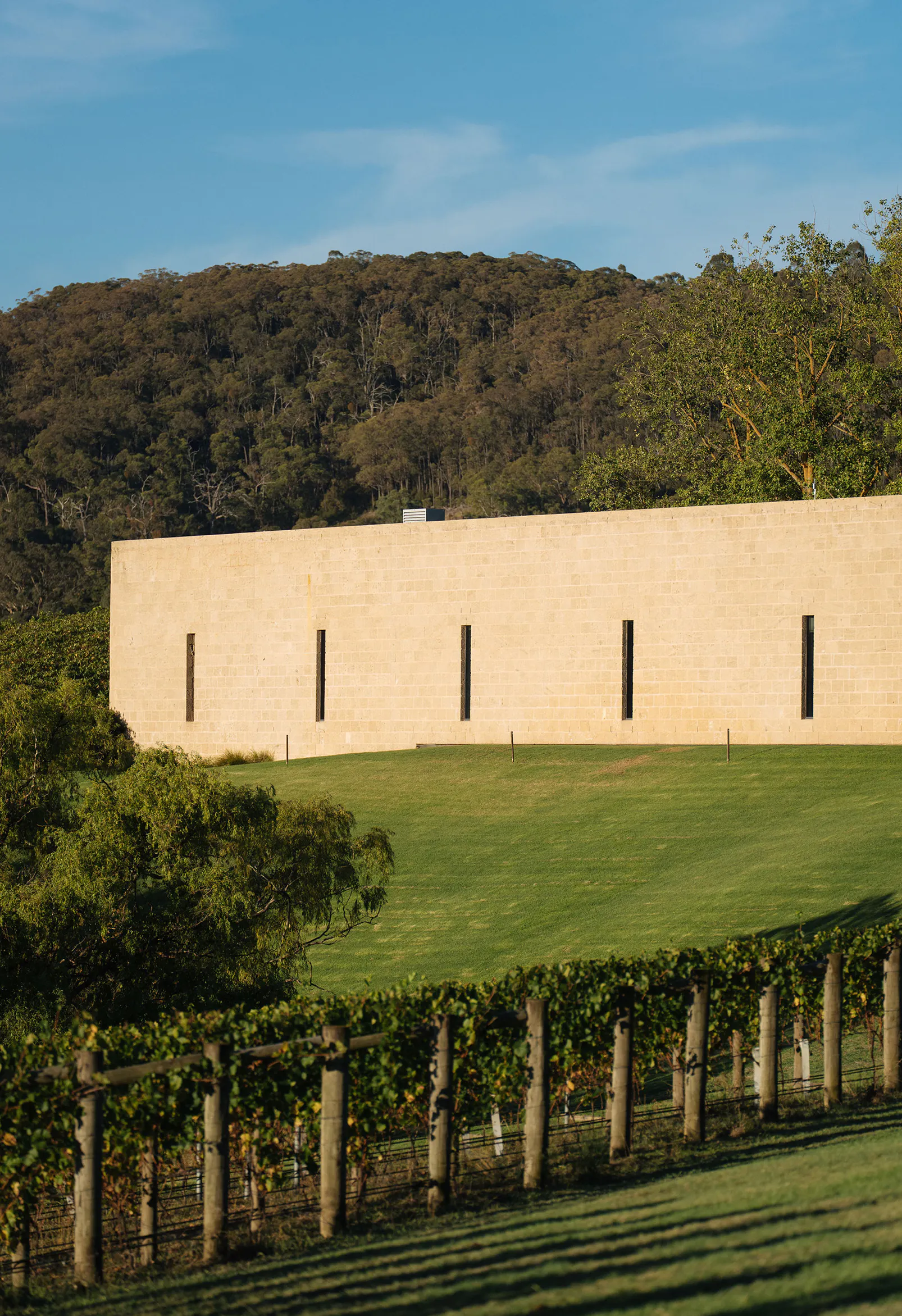 Tarra Warra Restaurant 035 2